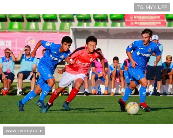 足球青训生态链构建：从基础技能到职业通道的全周期培养