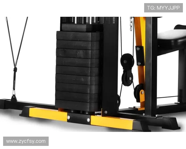 高品质健身器材购买全攻略从哑铃到跑步机